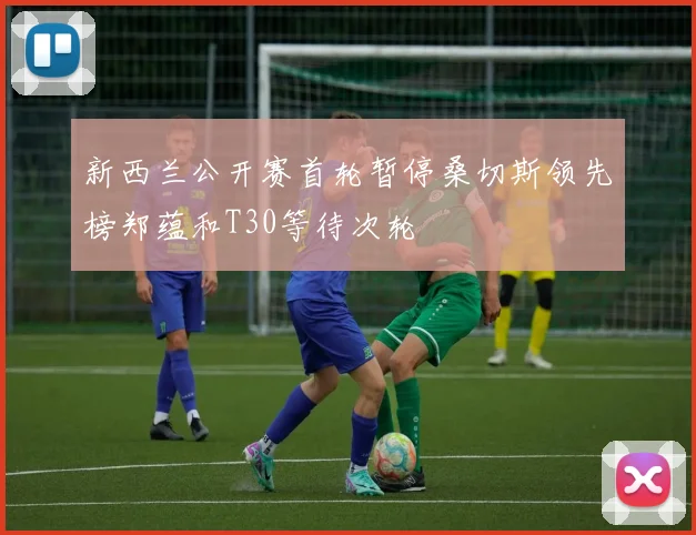 新西兰公开赛首轮暂停桑切斯领先榜郑蕴和T30等待次轮